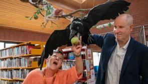 Junction Arts Festival continues long link with Clonmel artist Des Dillon