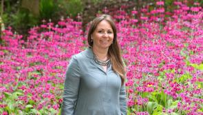 Popular Waterford tourist attraction appoints new commercial director 