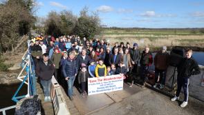 New plan emerges from Laois Council's drawing board to save the historic Woodebridge