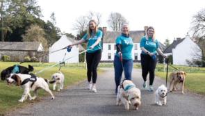 Cancer Focus NI running 'Paws for a Cause' event in County Derry