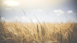 CARLOW WEATHER: Mostly dry and sunny today (Feb 9) with drizzle developing later