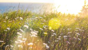 WATERFORD WEATHER: Mainly dry and sunny today 