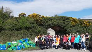 Ten clean-ups are taking place this week in Louth for World Ocean Day