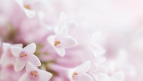 Deaths in Donegal, Tuesday evening, June 7