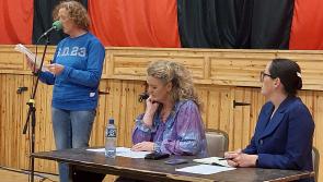 Controversy: Newbridge community anger over changes to park walkway aired at public Kildare meeting