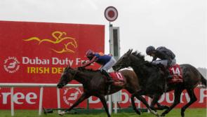 RACING: Your guide to Saturday’s Irish Derby action at the Curragh