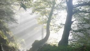 Sadness in Tipperary at death of man who shared everything he ever had