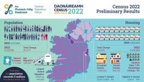 More Kilkenny Cats! Population of county grows by 4.5% says Census 2022