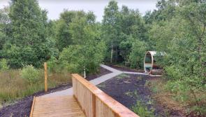 Local Tipperary walking group complete successful trip to Offaly