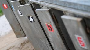 Joe Carroll: Wide seed draw makes Ballinabola Ed a worthy favourite