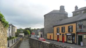 Meet the election candidates in Roscrea on Monday night