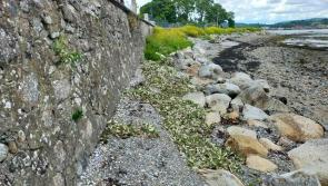 North Louth: Over €62k in funding approved for flood protection works in Omeath