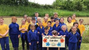 Everyone's got green thumbs at Kilcommon National School 