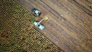 Substantial Basic Payment Scheme Refund announced for farmers in Longford

