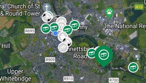 There are hidden containers all over Kilkenny as part of global game