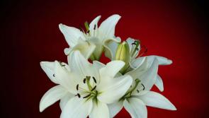 Deaths in Inishowen/Donegal, Thursday evening, July 7, 2022