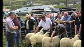 Cash boost for seven Donegal agricultural shows


