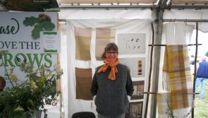 Clonmel Show crowds hear how to use meadow and hedgerow plants 