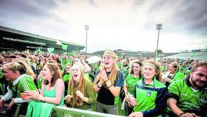 More details announced for Limerick GAA's massive big screen event for hurling final