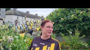 WATCH: Ossory Park backing the Kilkenny Cats all the way!