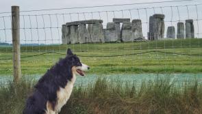 Meeting Idris Elba to the magic of Stonehenge 