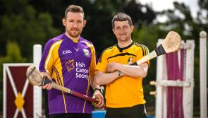Kilkenny stars ready to hurl for cancer research