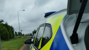Two arrested over burglary in  Laois