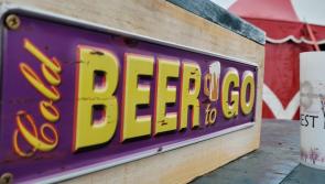 WATCH: Forest Fest takes flight in Laois