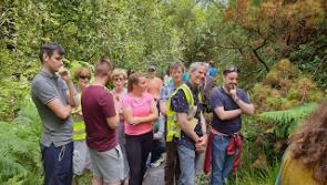 Bilberry Sunday Walk this weekend
