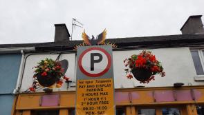 Symbolic Phoenix makes welcome return to street in Offaly
