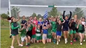 WATCH: Lets Go Laois Lets Go! Portlaoise gets behind Laois Ladies for Croke Park final