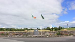 Moyglass Festival to mark the Grey Ghost centenary