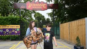 Pictures: Kilkenny's Jurassic Newpark Farm and Adventure Trail opens