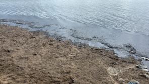 Louth's Cllr Reilly calling for EPA investigation at Rockmarshall beach