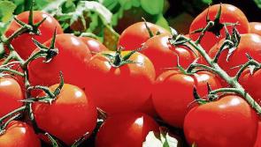 Warning of potential shortage of fruit and vegetables due to rising fuel costs  