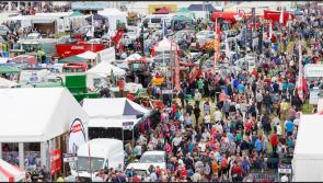 All roads lead to Offaly for Ireland's biggest one day agricultural show