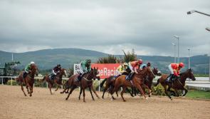 Racing and Family Fun Day at Dundalk Stadium