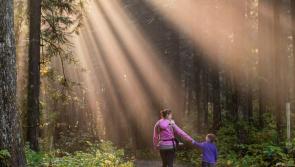 What's On: History buffs and heritage enthusiasts be ready for Carlow Heritage Seminar