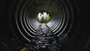 Carlow public warned of risk of Weil’s Disease following heavy rainfall

