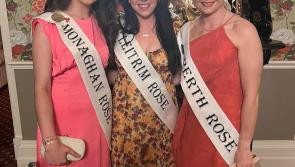 Meet Roses from around the world in Leitrim today