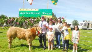 Gallery - Part 2: 60th Ballinamore Agricultural Show