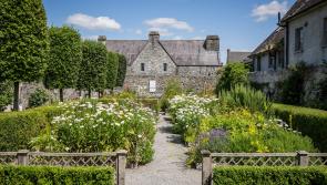 Rothe House Gardens - the jewel of Kilkenny's Medieval Mile