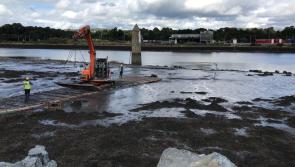 Narrow Water Bridge project in north Louth reaches new milestone 