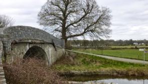 CCTV cameras to be erected by Offaly community alert group
