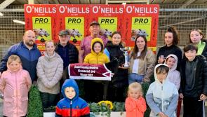 Derry Greyhounds: Georgina’s beautiful Bella lands the Daniel Canning Memorial Cup
