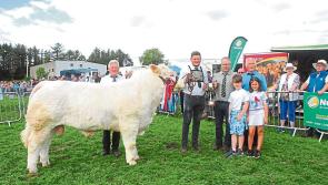 Gallery - Part 2:  Mohill Show takes place in glorious sunshine