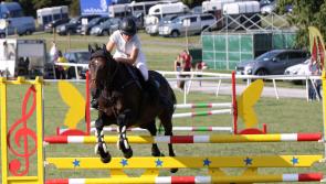 In Pictures: 30 photos from the 2022 Limerick Show