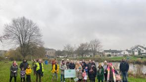 Kildare PPN announces third annual Climate Action Weekend