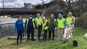 Kilkenny stakeholders urged to get behind tree planting project