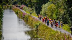 Gallery: Huge turnout for Carrick Camino 34 km walk